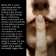 Illustration for article titled The Sensuality Of Celibacy